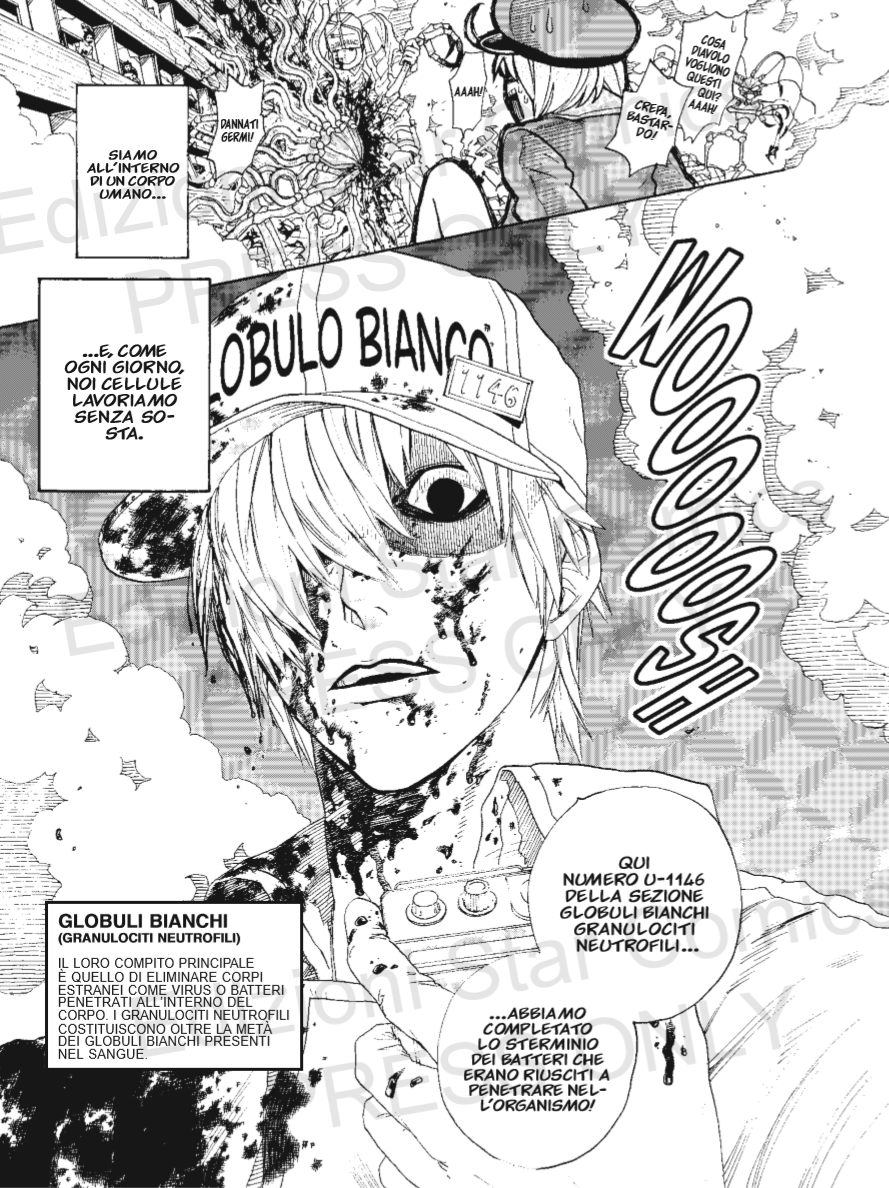 Cells at work! Lavori in corpo 1 - Recensione