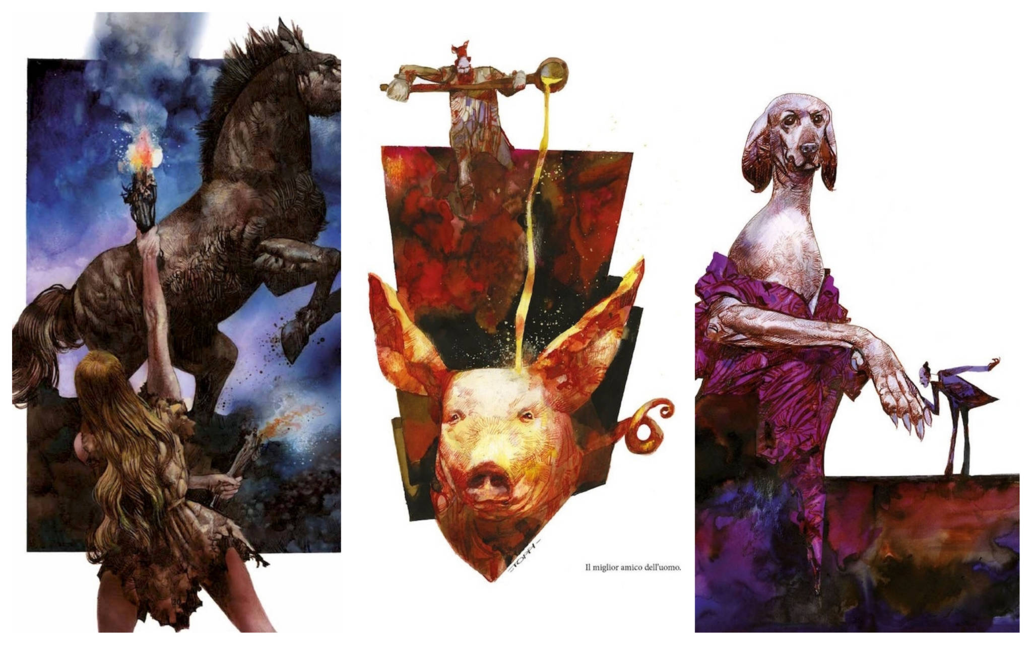 Toppi