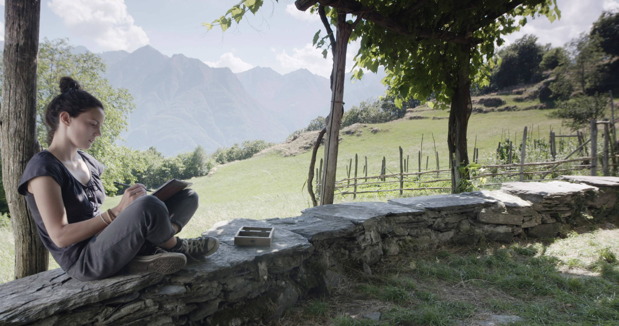 Viola Sartoretto - Terra Buona