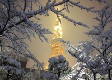 Tokyo neve