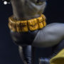 batman-robin-deluxe-art-4