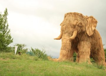 Wara Art Festival