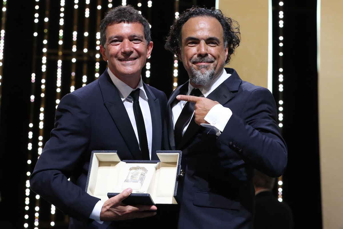 vincitori cannes 2019 projectnerd.it