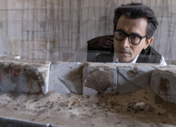 Il signore delle formiche